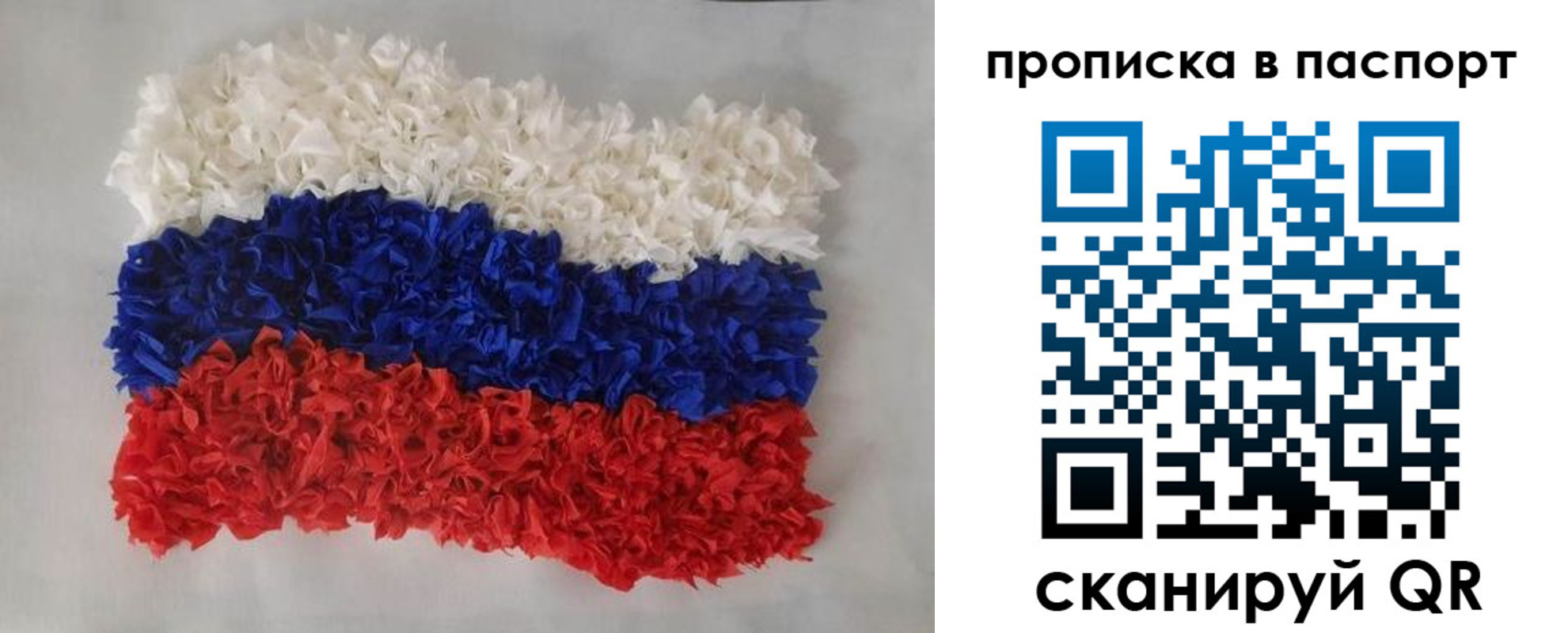 прописка в Советске